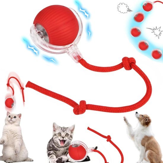 Pawcato Automatic Cat Teaser Ball